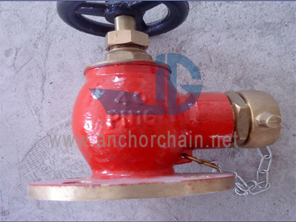 Valvola per tubo flessibile angolare in bronzo marino JIS F7334 5K 10K (DN15-DN40)