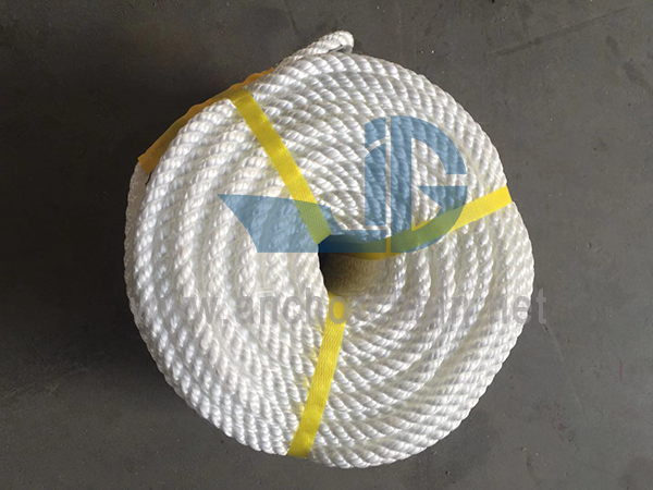 Filamento singolo di nylon 6 strati