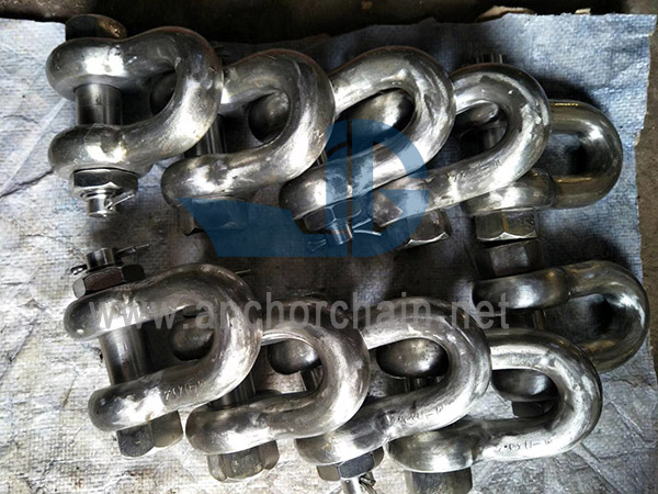 La sicurezza statunitense Dee Shackles G2150